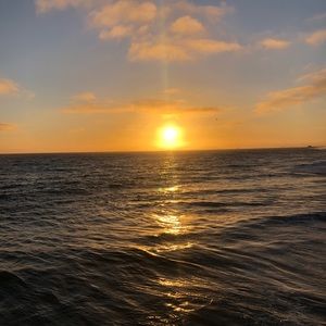 Meet your Posher, Betty